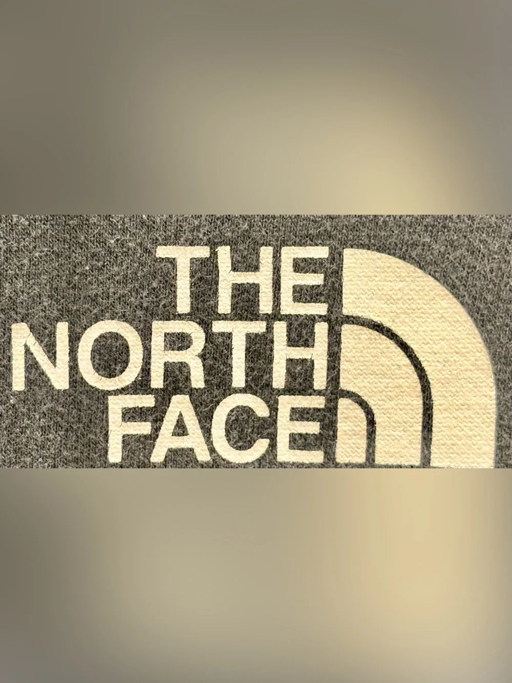 The North Face Men's Hooded Sweatshirt - Black with Alpine White Logo